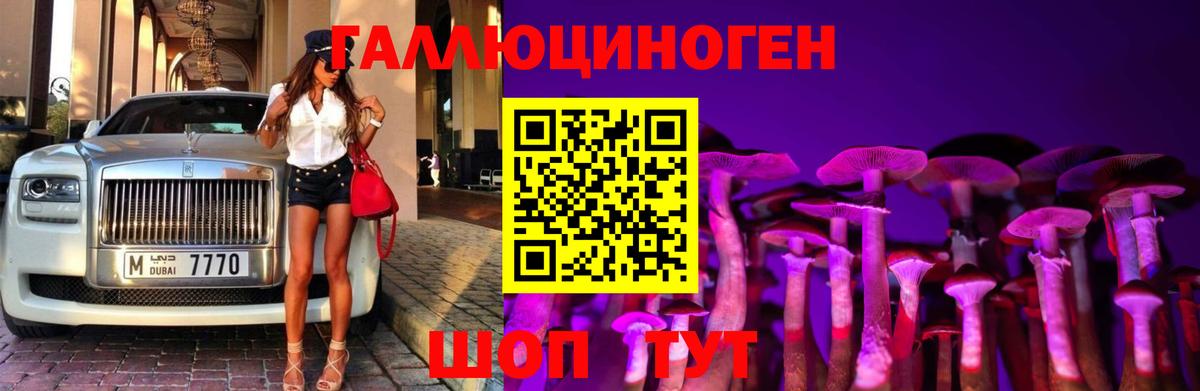 Казань  Галлюциногенные грибы GOLDEN TEACHER  Галлюциногенные грибы мухоморы  даркнет сайт  Вход с VPN 